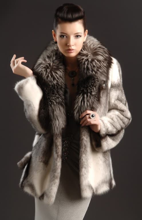 Professional studio portrait